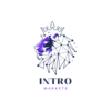 İntro Markets